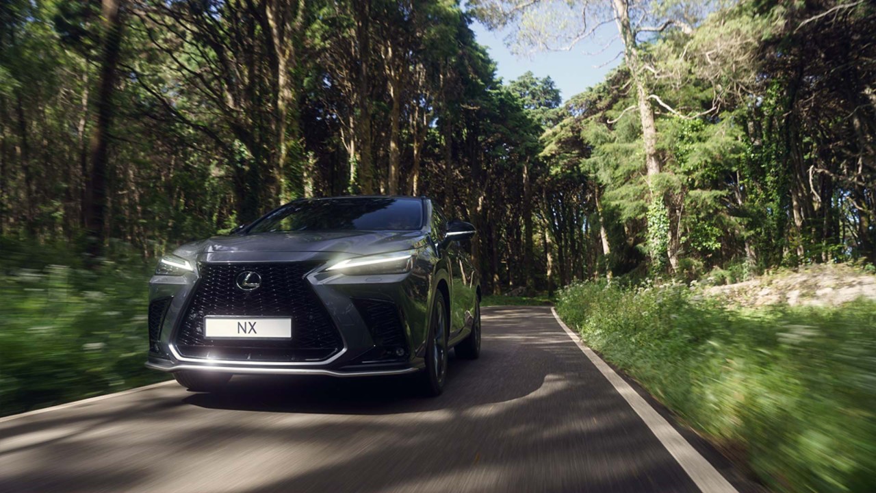 A Lexus NX driving through a woodland